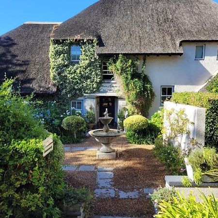 In The Vine Country Manor Guesthouse Stellenbosch Eksteriør billede