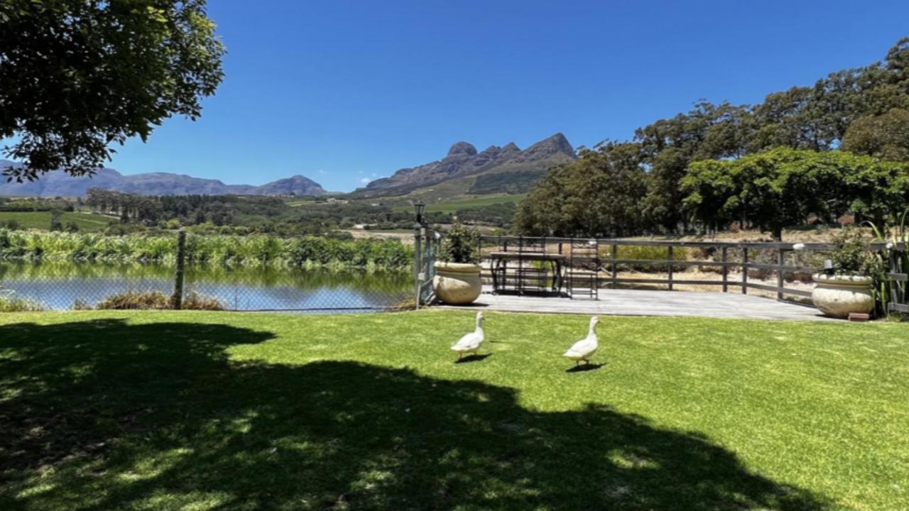 In The Vine Country Manor Guesthouse Stellenbosch Eksteriør billede