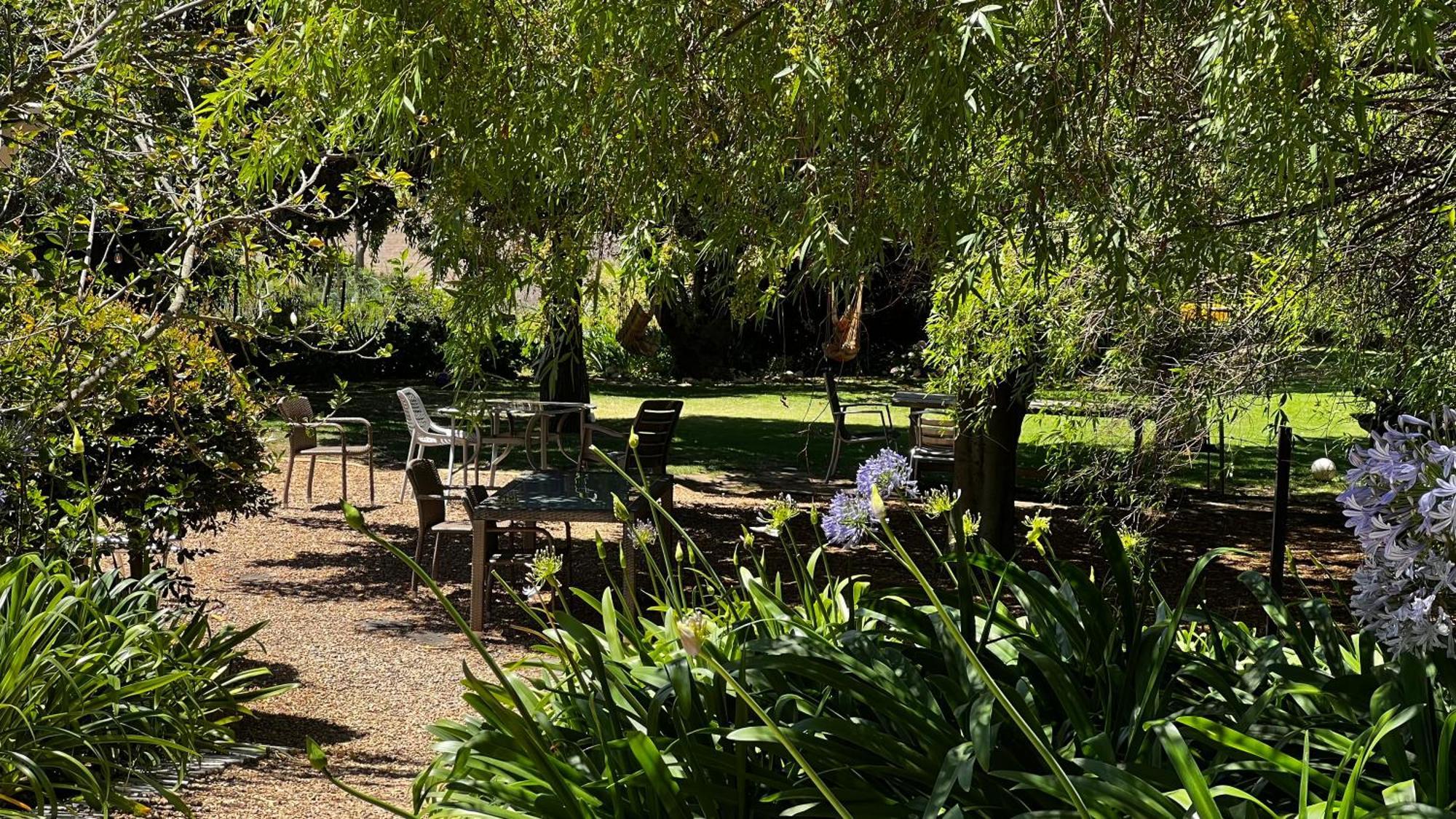 In The Vine Country Manor Guesthouse Stellenbosch Eksteriør billede